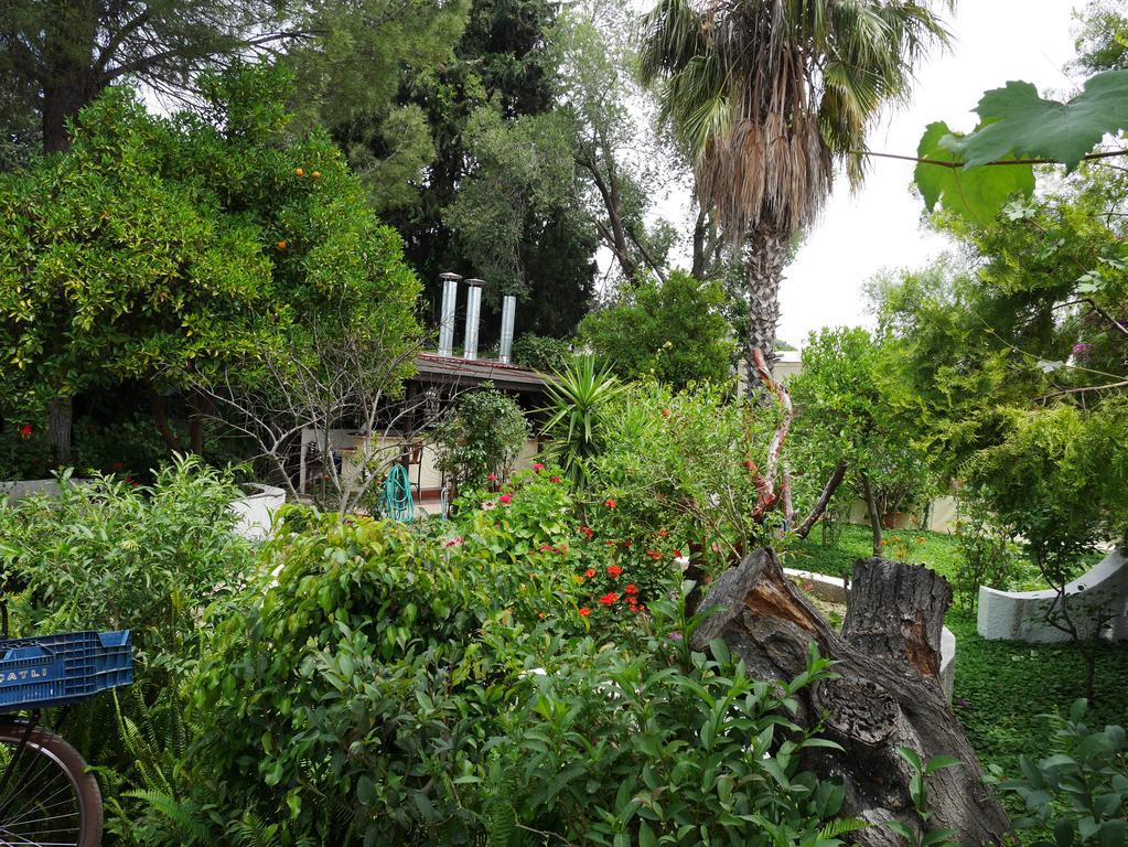 Longhouse Inn Hotel Dalyan Exterior foto